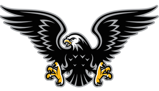CMMS HAWKS